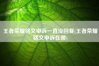 王者荣耀铭文申诉一直没回复(王者荣耀铭文申诉在哪)