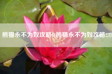 熊猫永不为奴攻略6(熊猫永不为奴攻略23)