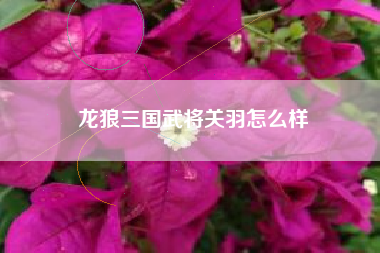 龙狼三国武将关羽怎么样