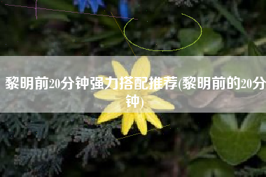 黎明前20分钟强力搭配推荐(黎明前的20分钟)