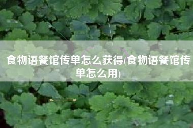 食物语餐馆传单怎么获得(食物语餐馆传单怎么用)