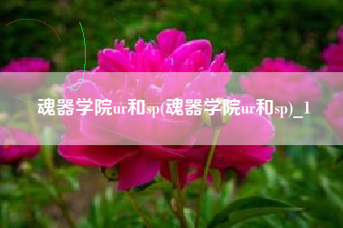 魂器学院ur和sp(魂器学院ur和sp)_1