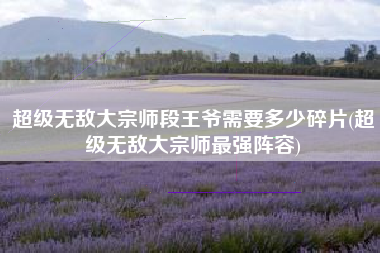 超级无敌大宗师段王爷需要多少碎片(超级无敌大宗师最强阵容)