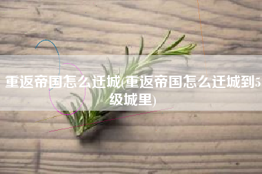 重返帝国怎么迁城(重返帝国怎么迁城到5级城里)