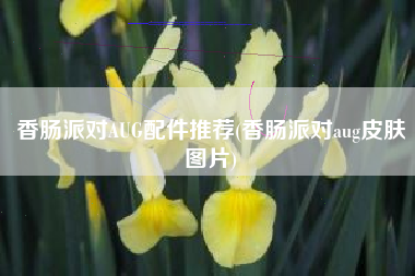 香肠派对AUG配件推荐(香肠派对aug皮肤图片)