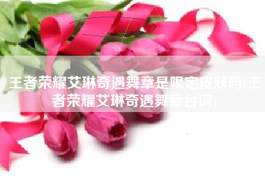 王者荣耀艾琳奇遇舞章是限定皮肤吗(王者荣耀艾琳奇遇舞章台词)