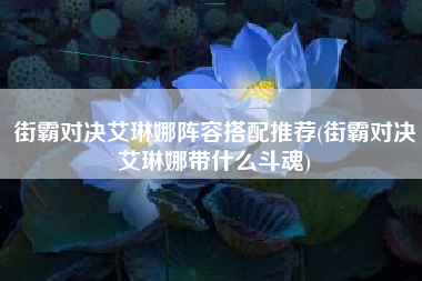 街霸对决艾琳娜阵容搭配推荐(街霸对决艾琳娜带什么斗魂)