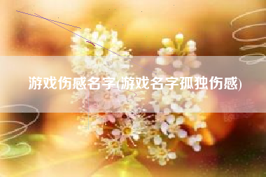 游戏伤感名字(游戏名字孤独伤感)