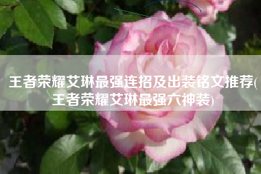 王者荣耀艾琳最强连招及出装铭文推荐(王者荣耀艾琳最强六神装)