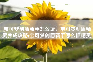 宝可梦剑盾新手怎么玩，宝可梦剑盾精灵养成攻略(宝可梦剑盾新手怎么抓精灵)