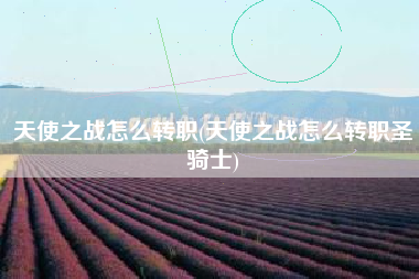 天使之战怎么转职(天使之战怎么转职圣骑士)