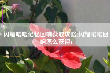 闪耀暖暖记忆回响获取攻略(闪耀暖暖回响怎么获得)