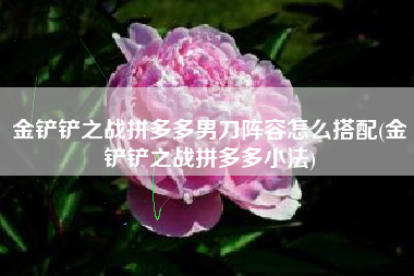 金铲铲之战拼多多男刀阵容怎么搭配(金铲铲之战拼多多小法)