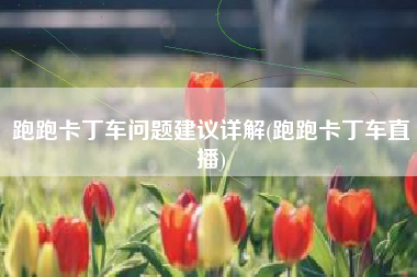 跑跑卡丁车问题建议详解(跑跑卡丁车直播)