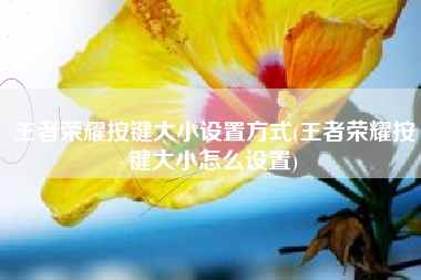 王者荣耀按键大小设置方式(王者荣耀按键大小怎么设置)