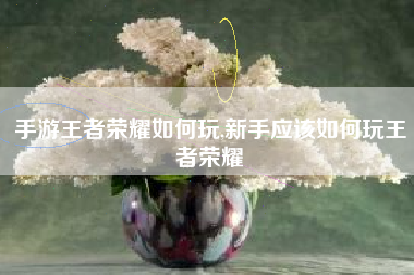 手游王者荣耀如何玩,新手应该如何玩王者荣耀