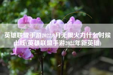 英雄联盟手游2022.8月无限火力什么时候上线(英雄联盟手游2022年新英雄)