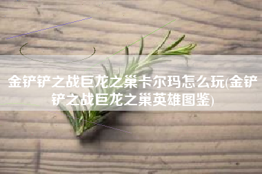 金铲铲之战巨龙之巢卡尔玛怎么玩(金铲铲之战巨龙之巢英雄图鉴)