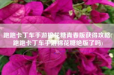 跑跑卡丁车手游棉花糖青春版获得攻略(跑跑卡丁车手游棉花糖绝版了吗)