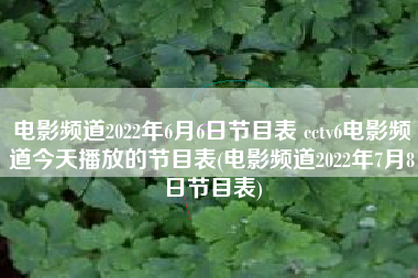 电影频道2022年6月6日节目表 cctv6电影频道今天播放的节目表(电影频道2022年7月8日节目表)