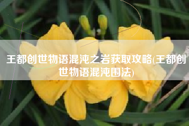 王都创世物语混沌之岩获取攻略(王都创世物语混沌围法)