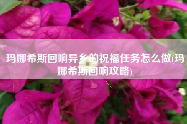 玛娜希斯回响异乡的祝福任务怎么做(玛娜希斯回响攻略)