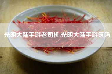 光明大陆手游老司机,光明大陆手游氪吗