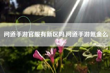 问道手游官服有新区吗,问道手游氪金么