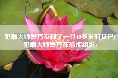 犯罪大师警方发现了一具40多岁的女尸(犯罪大师警方在恐怖组织)