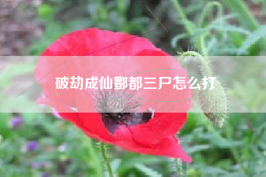 破劫成仙酆都三尸怎么打