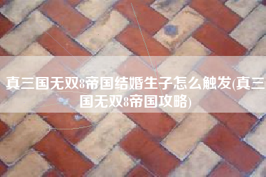 真三国无双8帝国结婚生子怎么触发(真三国无双8帝国攻略)