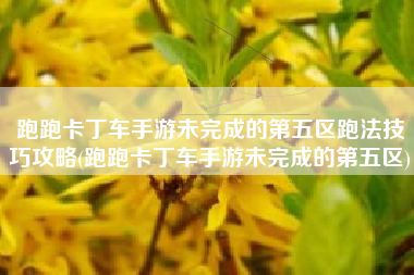 跑跑卡丁车手游未完成的第五区跑法技巧攻略(跑跑卡丁车手游未完成的第五区)