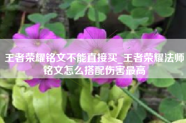 王者荣耀铭文不能直接买_王者荣耀法师铭文怎么搭配伤害最高