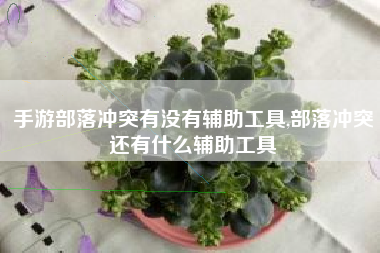手游部落冲突有没有辅助工具,部落冲突还有什么辅助工具