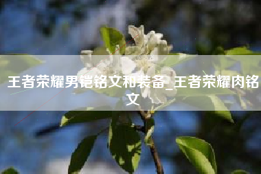 王者荣耀男铠铭文和装备_王者荣耀肉铭文