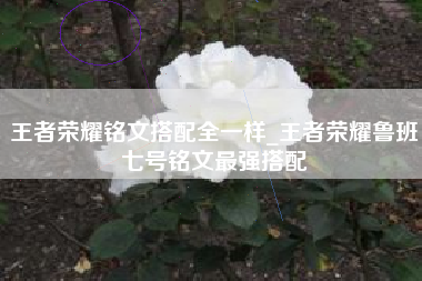 王者荣耀铭文搭配全一样_王者荣耀鲁班七号铭文最强搭配