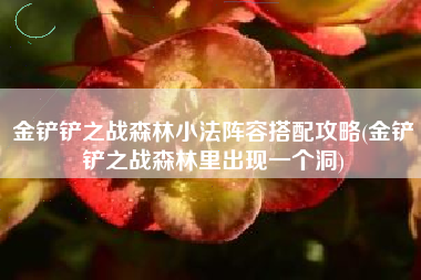 金铲铲之战森林小法阵容搭配攻略(金铲铲之战森林里出现一个洞)
