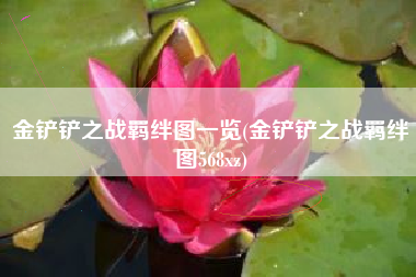 金铲铲之战羁绊图一览(金铲铲之战羁绊图568xz)