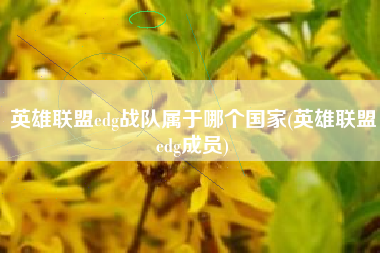 英雄联盟edg战队属于哪个国家(英雄联盟edg成员)