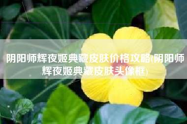 阴阳师辉夜姬典藏皮肤价格攻略(阴阳师辉夜姬典藏皮肤头像框)