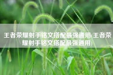 王者荣耀射手铭文搭配最强通用(王者荣耀射手铭文搭配最强通用)