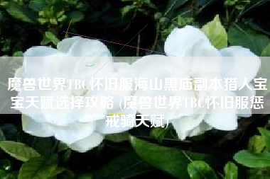 魔兽世界TBC怀旧服海山黑庙副本猎人宝宝天赋选择攻略 (魔兽世界TBC怀旧服惩戒骑天赋)
