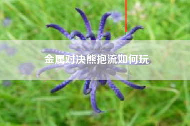 金属对决熊抱流如何玩