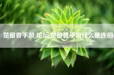 楚留香手游 论坛,楚留香手游什么是连招