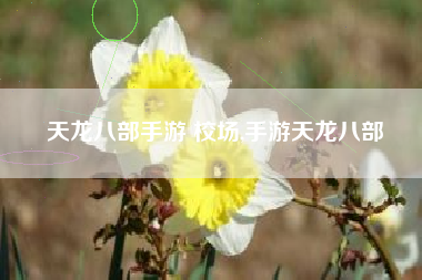 天龙八部手游 校场,手游天龙八部