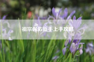 祖宗保佑新手上手攻略