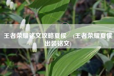 王者荣耀铭文攻略夏侯惇(王者荣耀夏侯惇出装铭文)