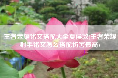 王者荣耀铭文搭配大全夏侯敦(王者荣耀射手铭文怎么搭配伤害最高)