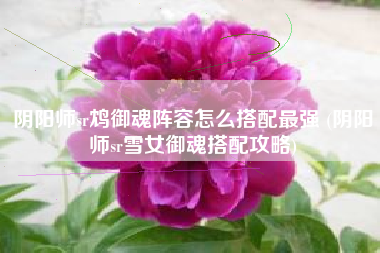 阴阳师sr鸩御魂阵容怎么搭配最强 (阴阳师sr雪女御魂搭配攻略)