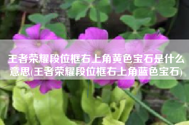 王者荣耀段位框右上角黄色宝石是什么意思(王者荣耀段位框右上角蓝色宝石)